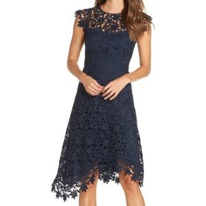 Asymmetrical Lace Fit and Flare Dress
